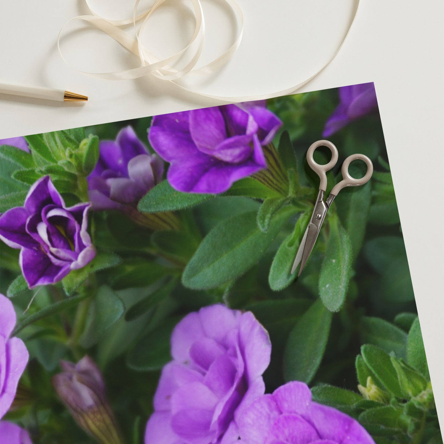 Purple Petunias Wrapping paper sheets