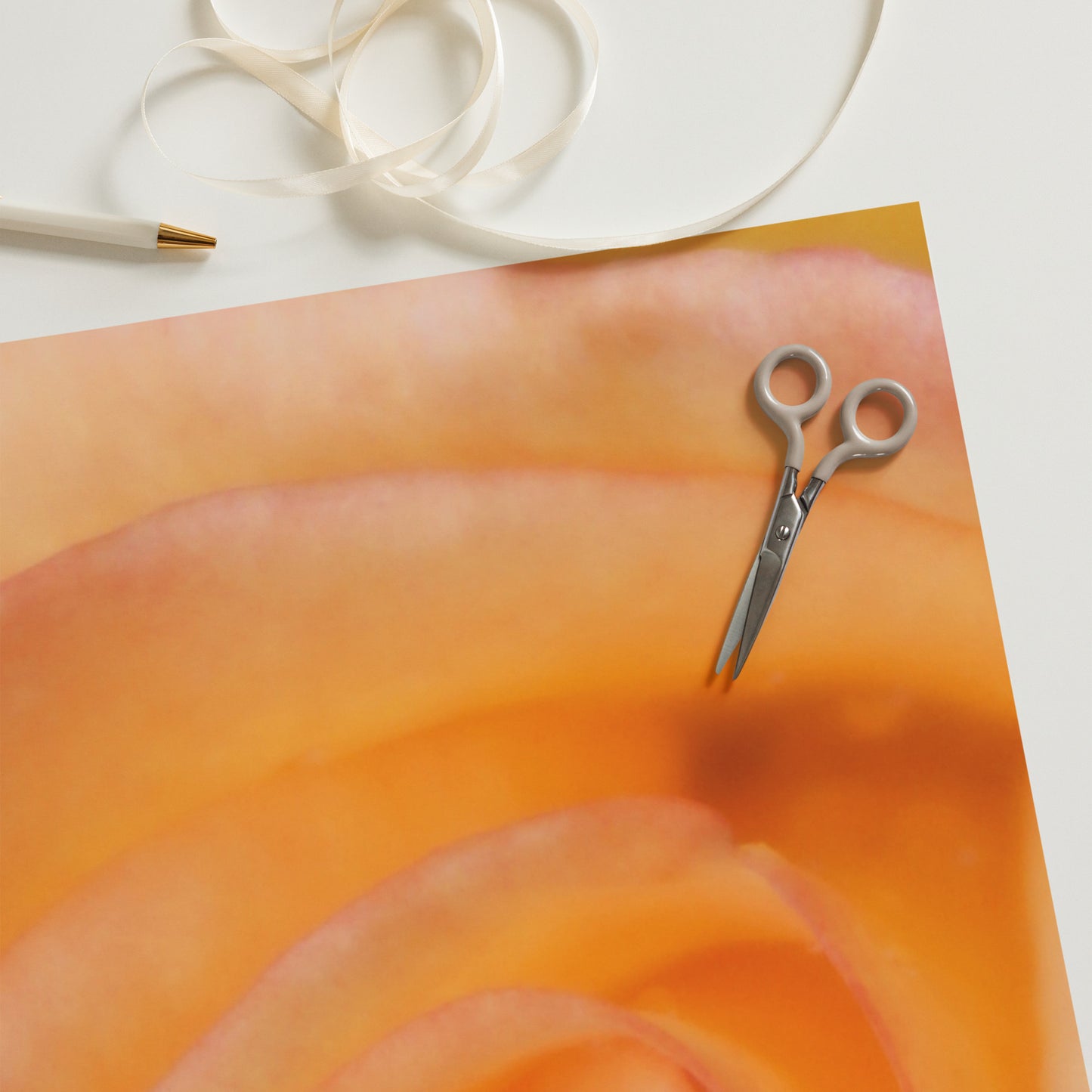 Orange Rose Wrapping paper sheets