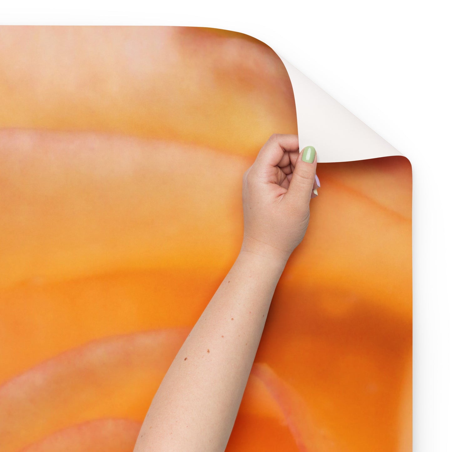Orange Rose Wrapping paper sheets