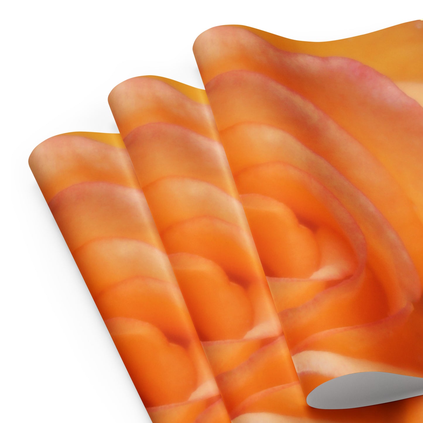 Orange Rose Wrapping paper sheets