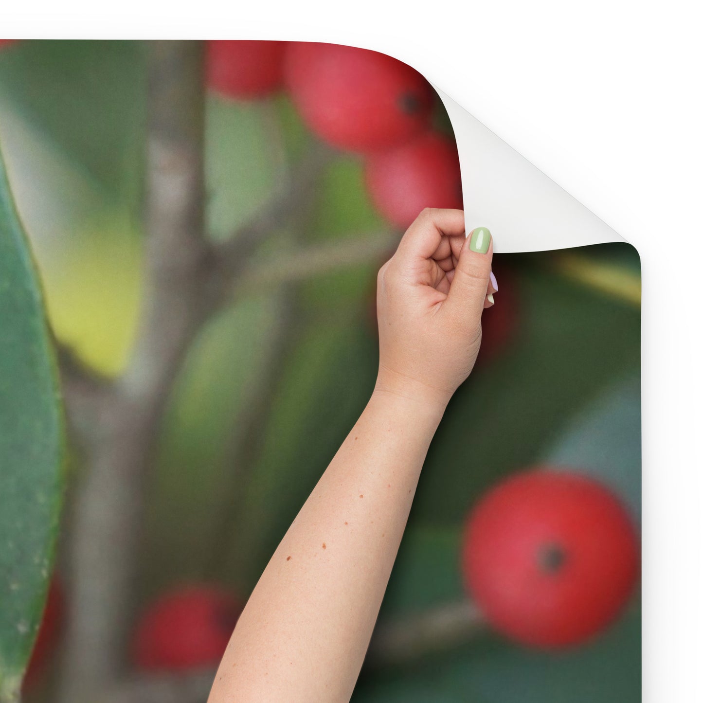 Holly Berries Wrapping paper sheets