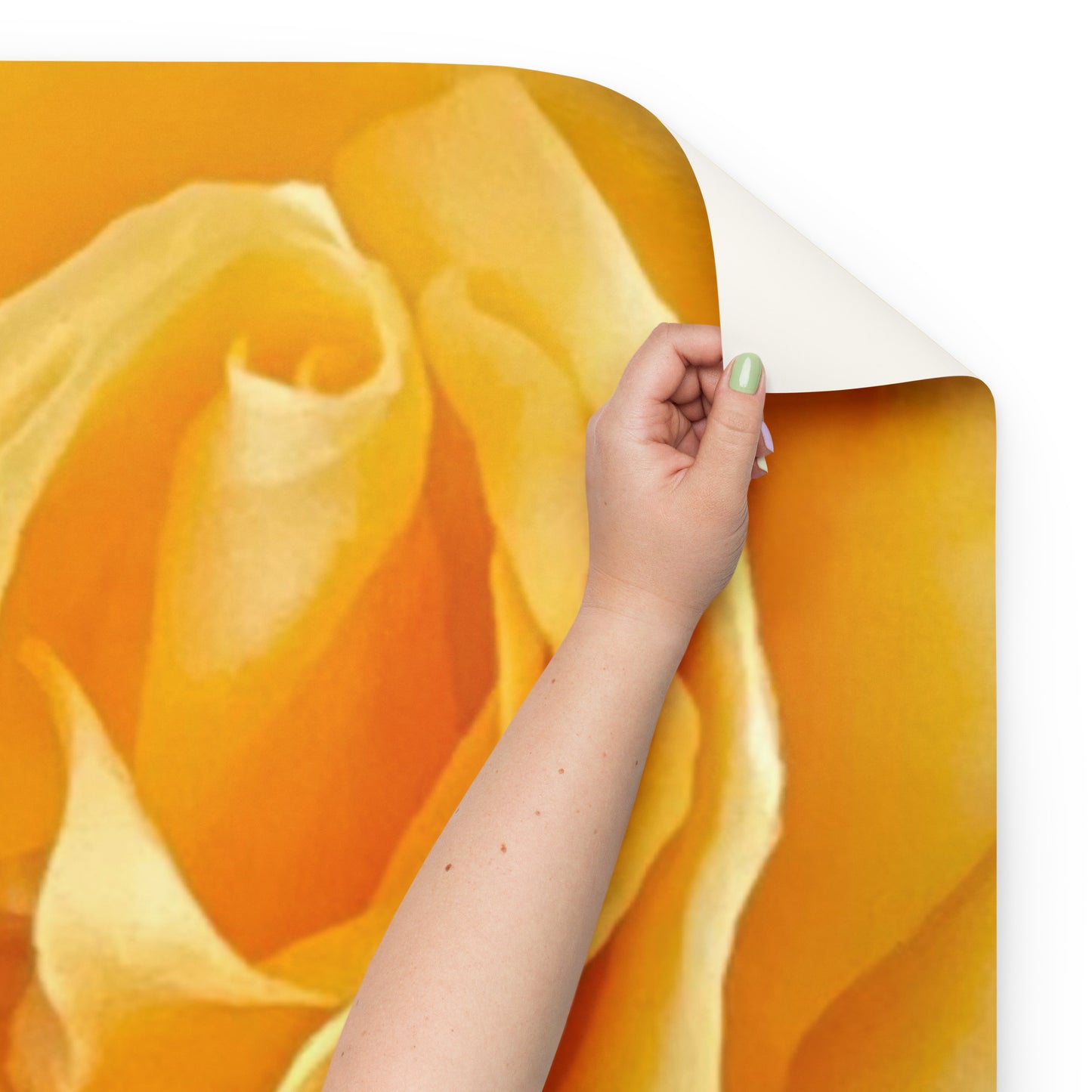 Yellow Roses Wrapping paper sheets