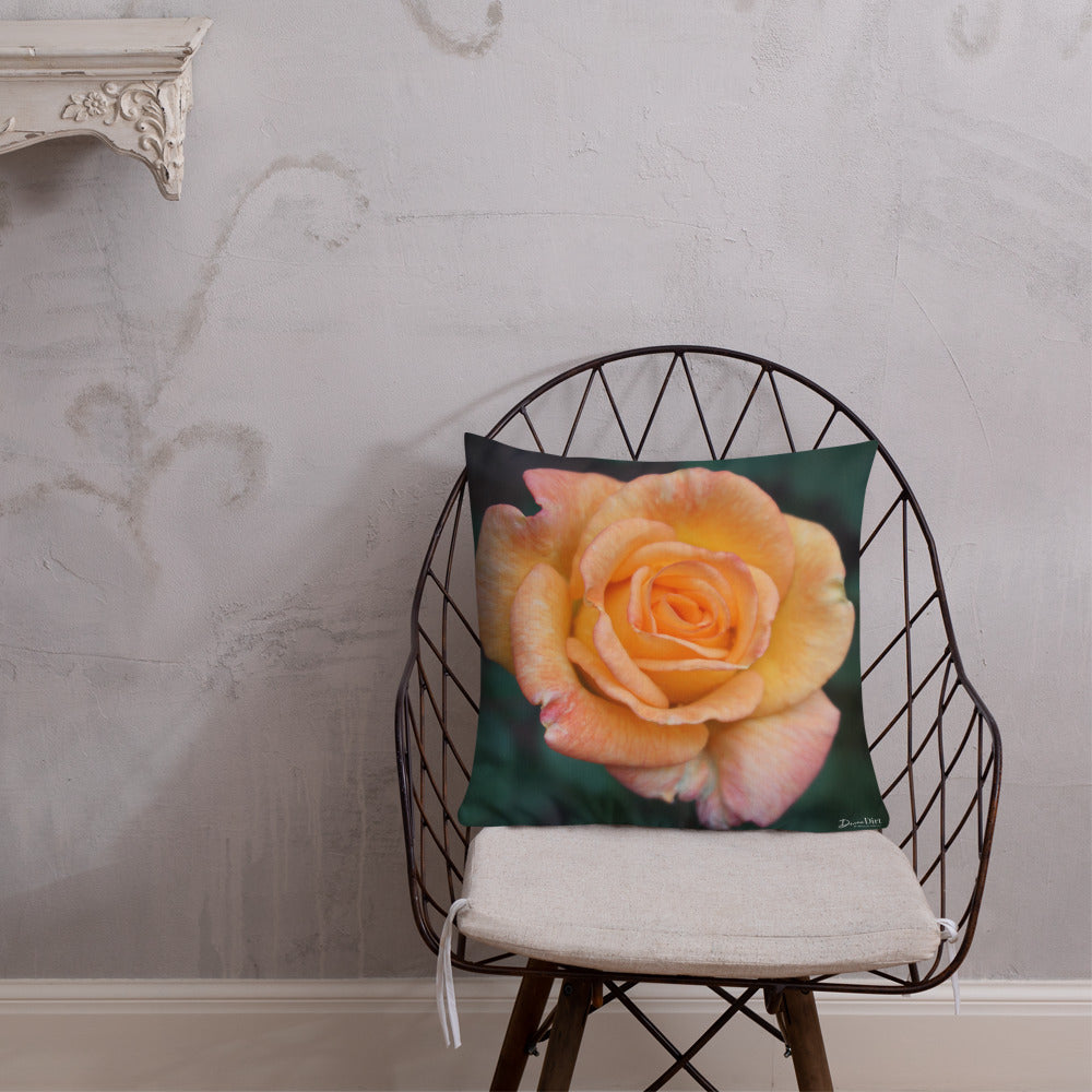 Orange Delight Rose Premium Pillow with White Back