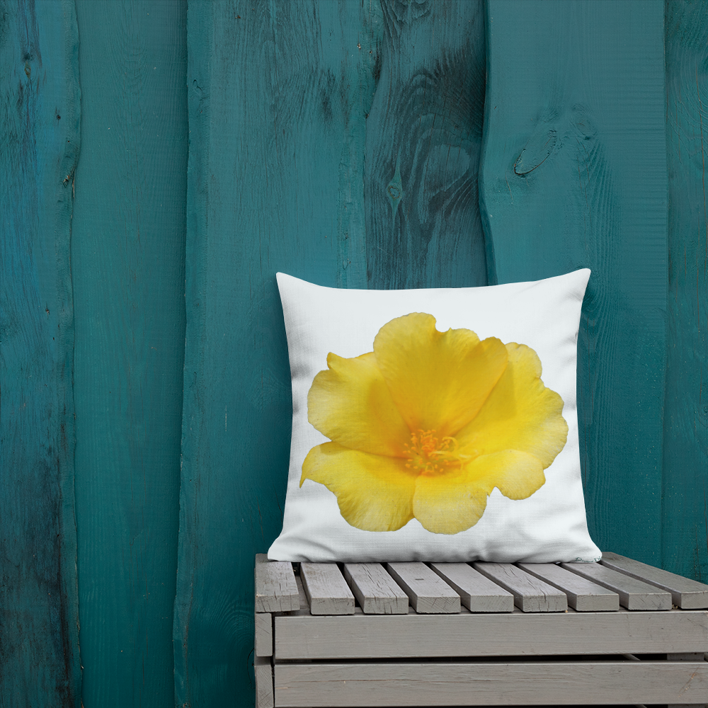 Yellow Portulaca