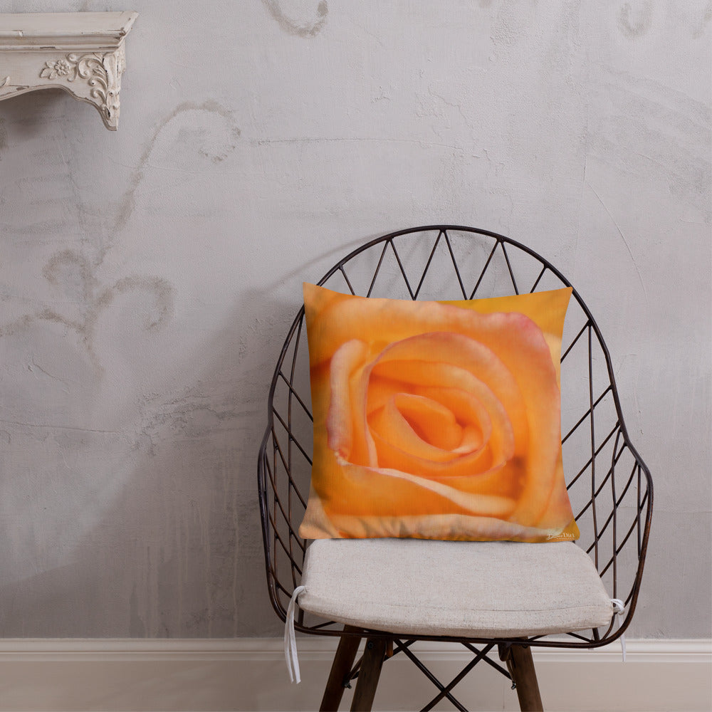 Rose Orange Delight Premium Pillow with White Back