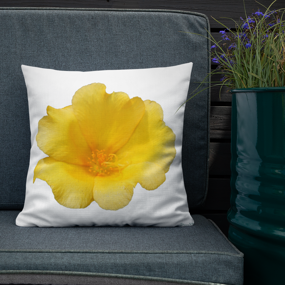 Yellow Portulaca