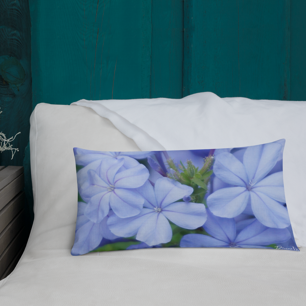 Blue Plumbago Premium Pillow with blue back
