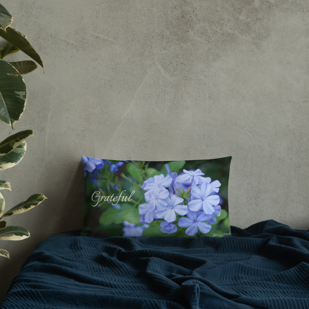 Blue Plumbago Premium Pillow 'Grateful' with Black Back