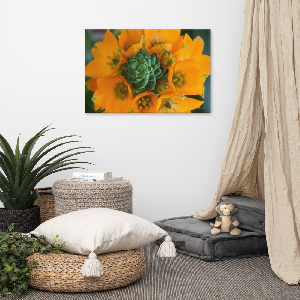 Orange Star Canvas 24x36