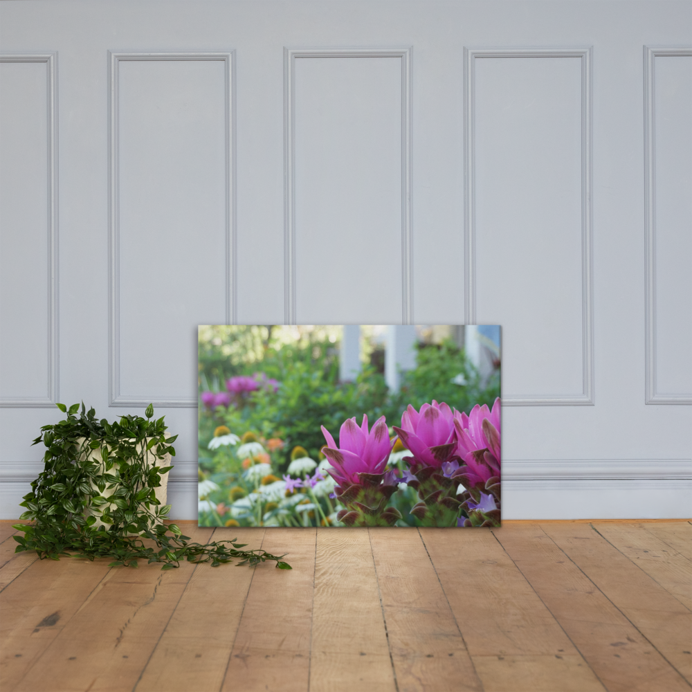 Siam Tulips Canvas 24x36