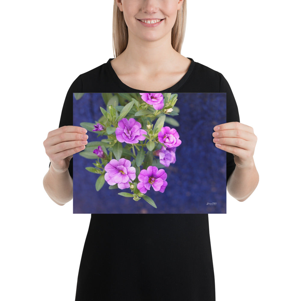 Purple Petunias Poster 14x11