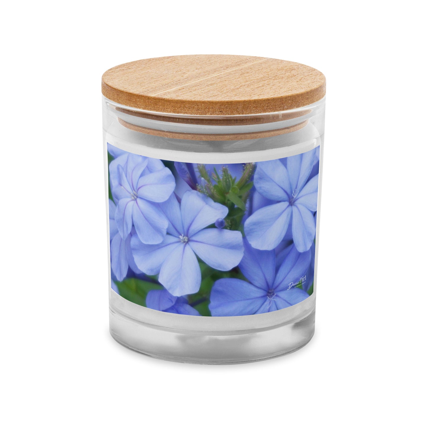 Blue Plumbago