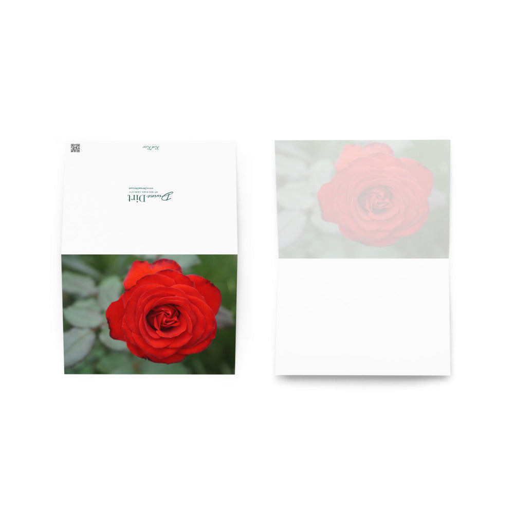 Red Rose