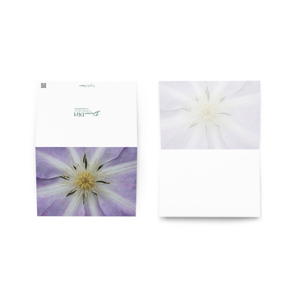 Purple Clematis