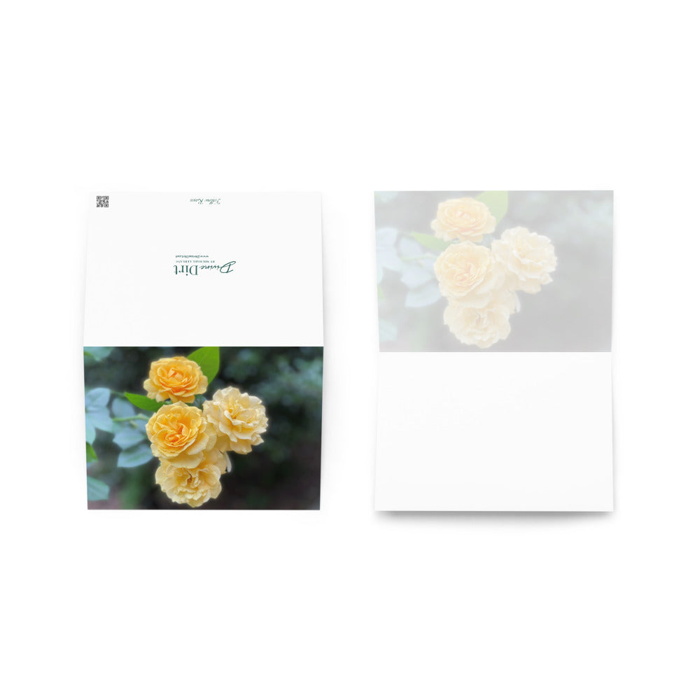 Yellow Rose