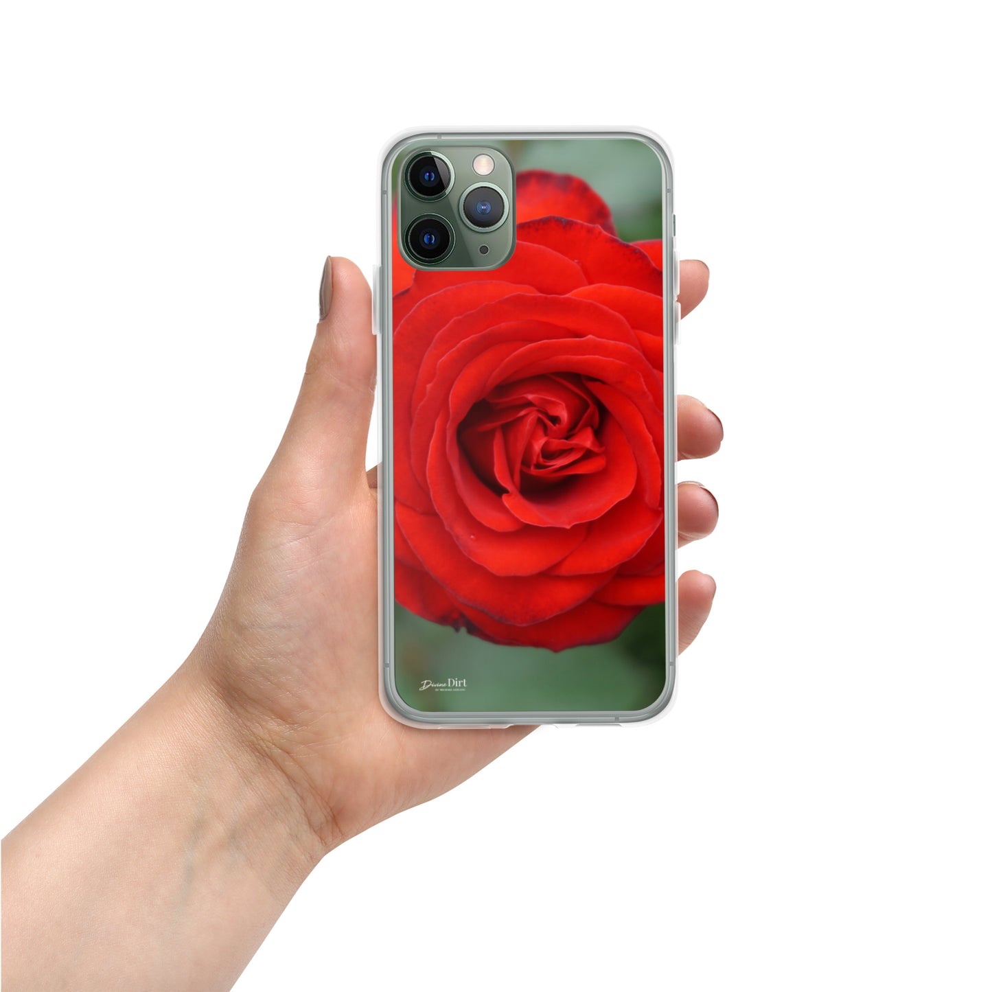 Red Rose iPhone Case