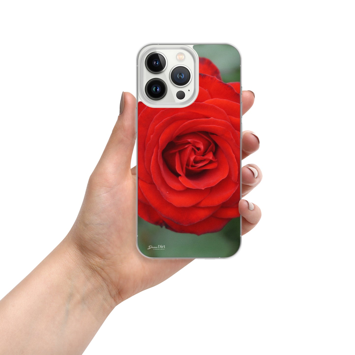 Red Rose iPhone Case