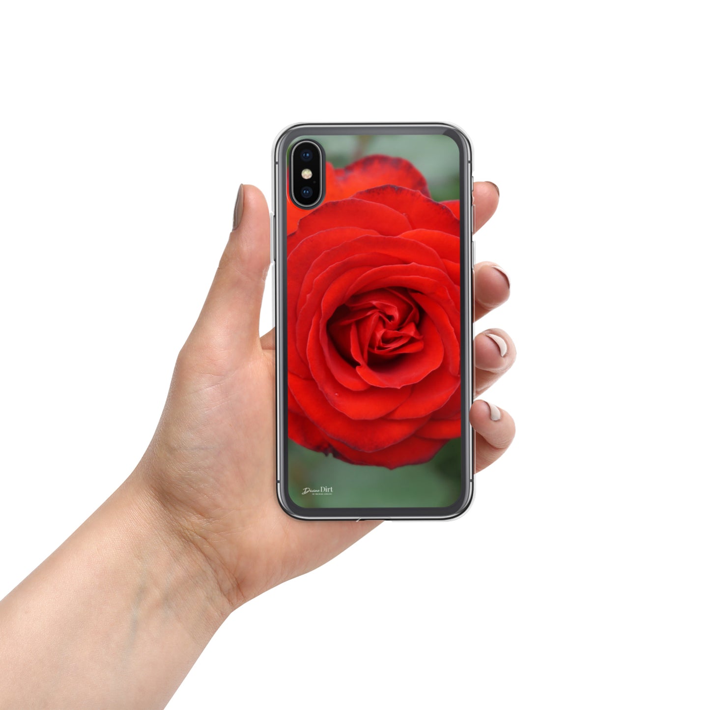 Red Rose iPhone Case