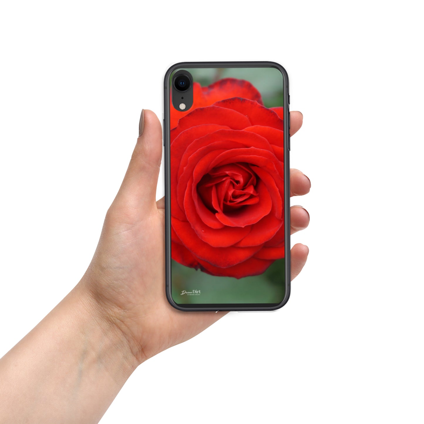 Red Rose iPhone Case