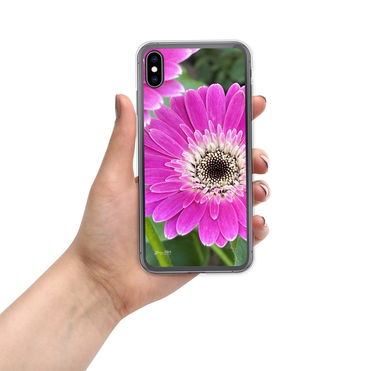 Hot Pink Gerbera Daisy iPhone Case