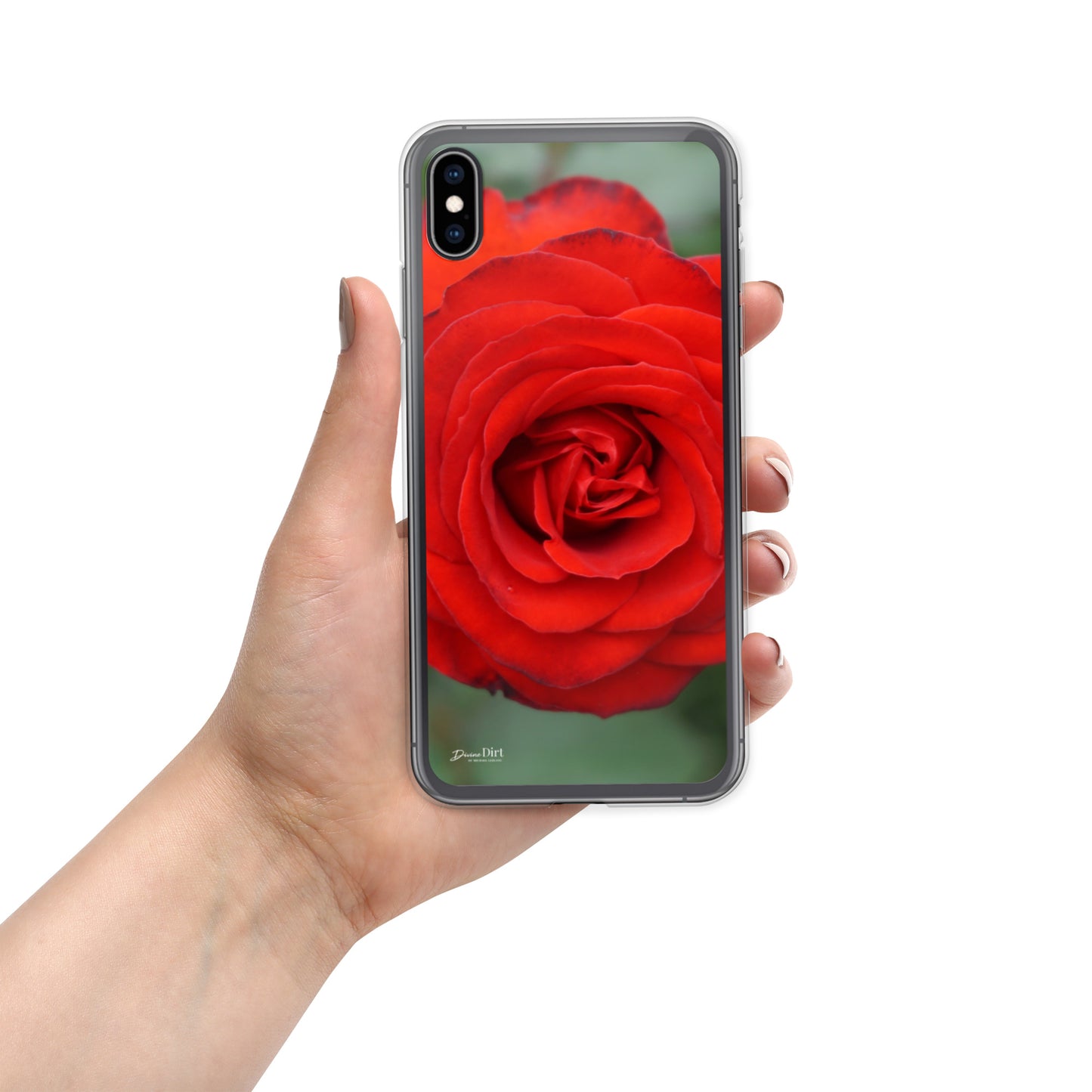 Red Rose iPhone Case