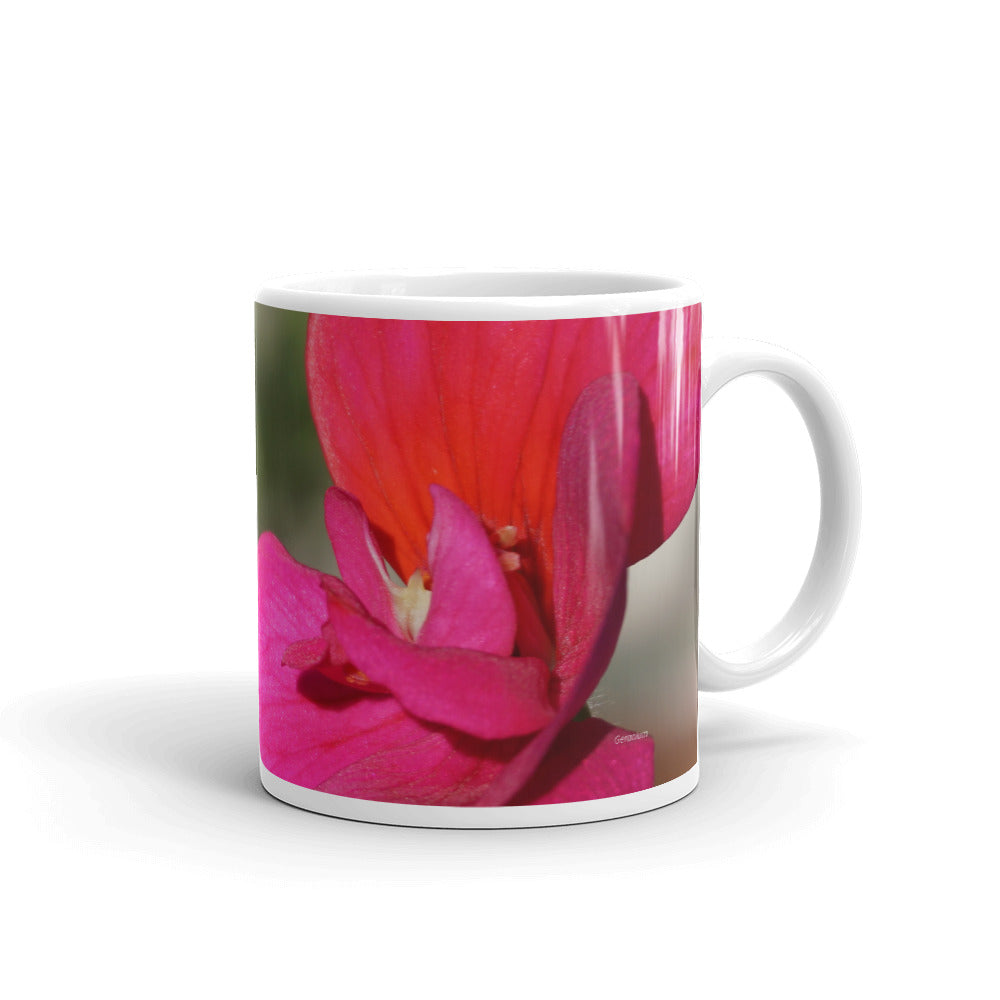 Envision the best version of you and this world_Geranium