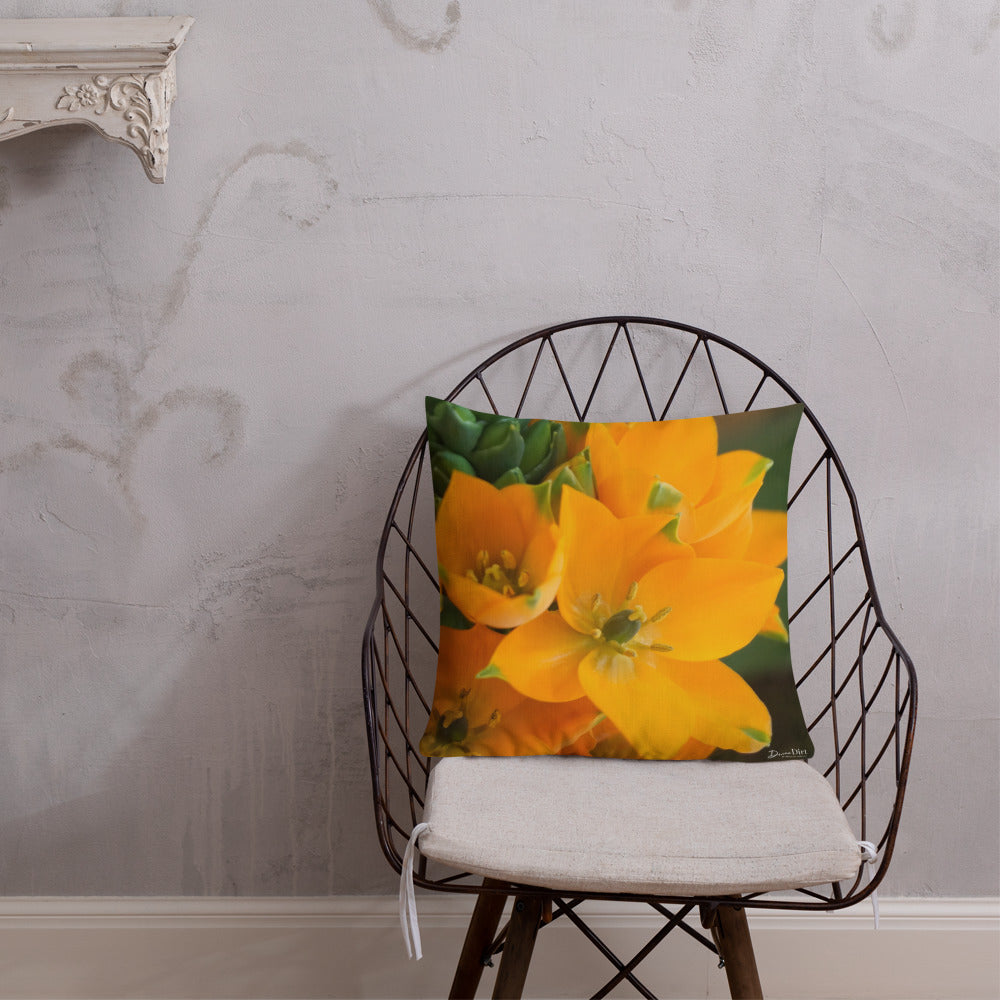 Orange Star Premium Pillow with White Back