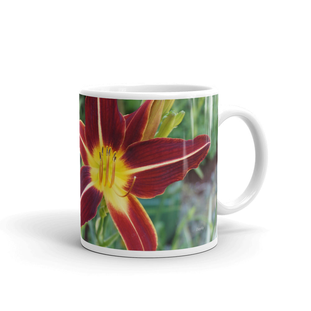 Orange Daylily "Happiness"