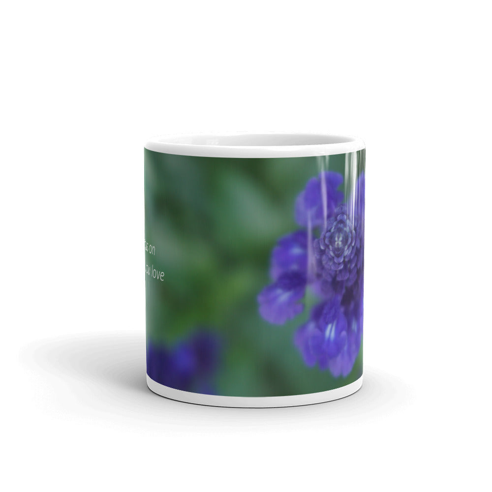 Purple Salvia-Indigo Spires "Focus on what you love"
