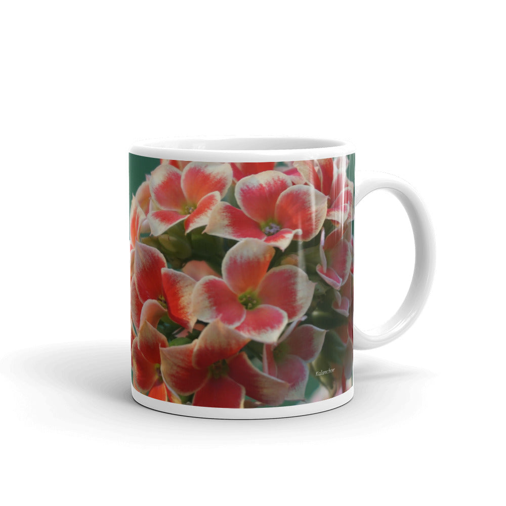 Orange Kalanchoe without message