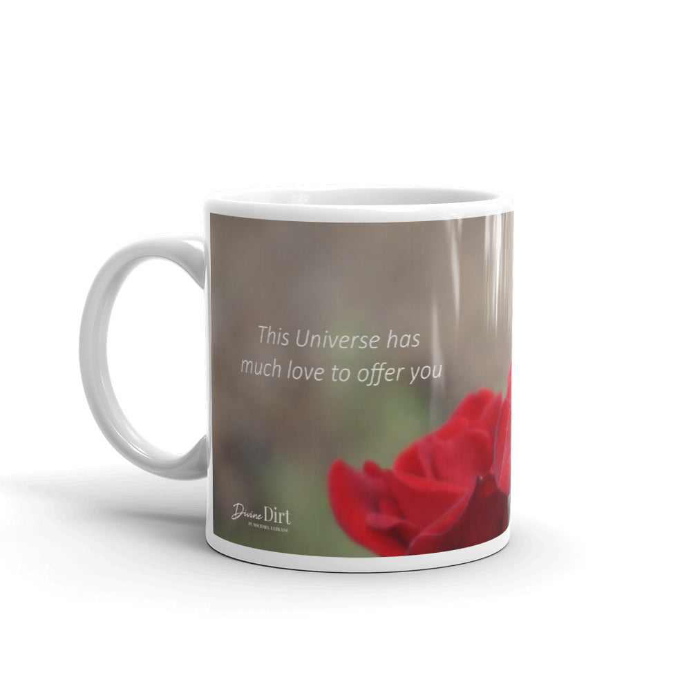 Red Rose "This Universe has much love to offer you"