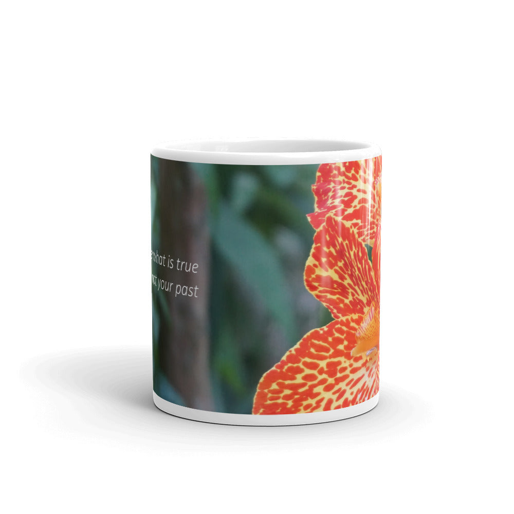 Orange Dwarf Canna-Picasso "You state what is true for you, not your past"