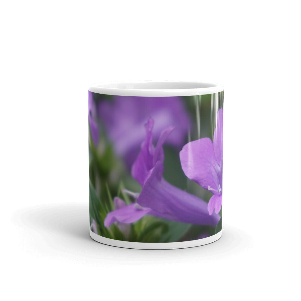 Purple Philippine Violet without a message