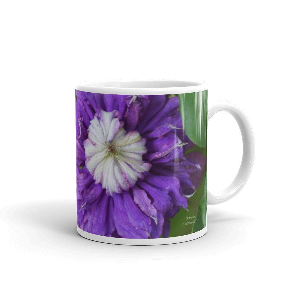 Purple Clematis 'Diamantina' without a message