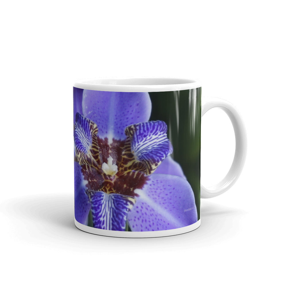 Purple Brazilian Iris without a message