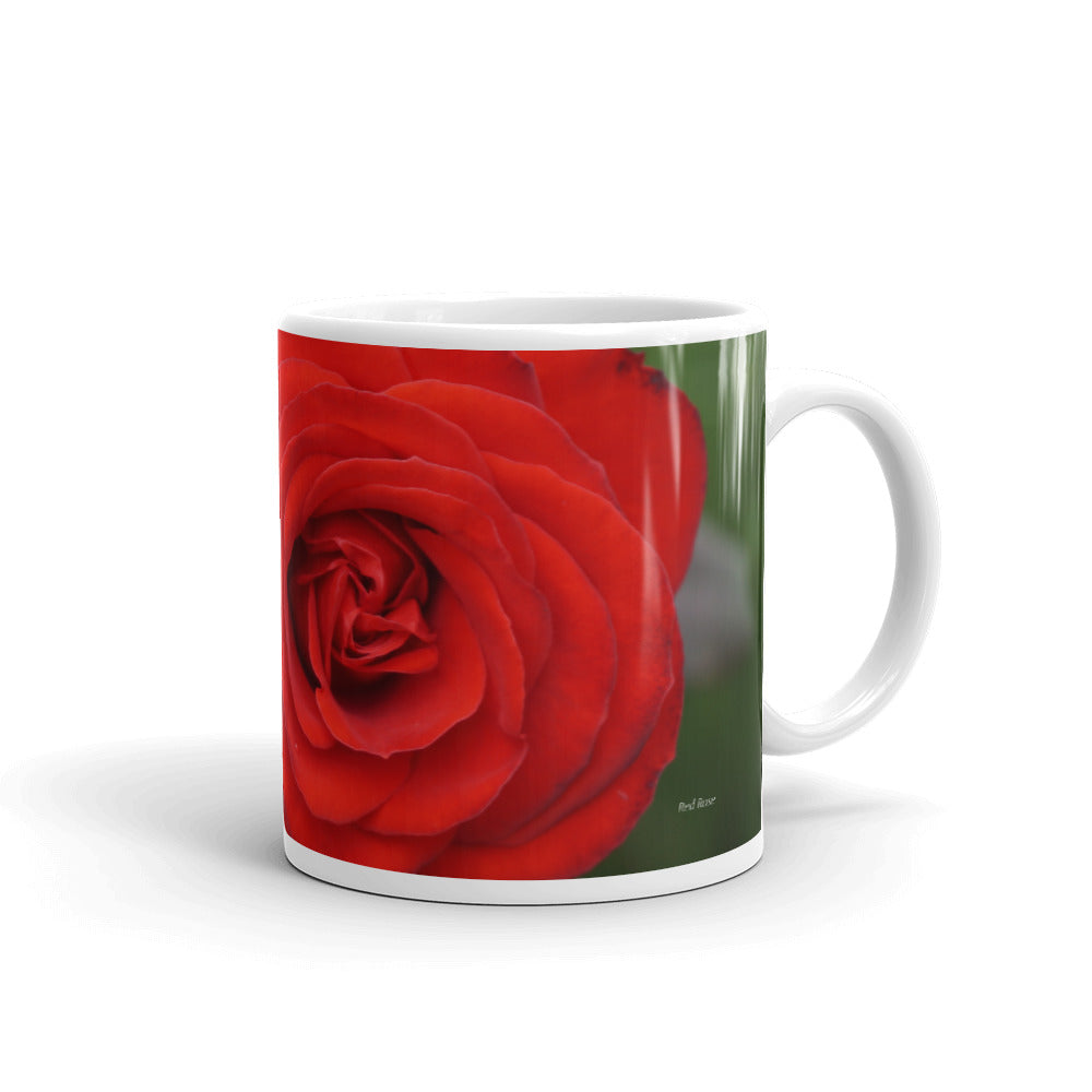 Red Rose "You have immense worth and value"