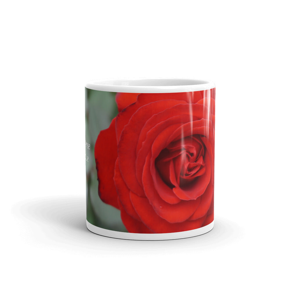 Red Rose "You have immense worth and value"