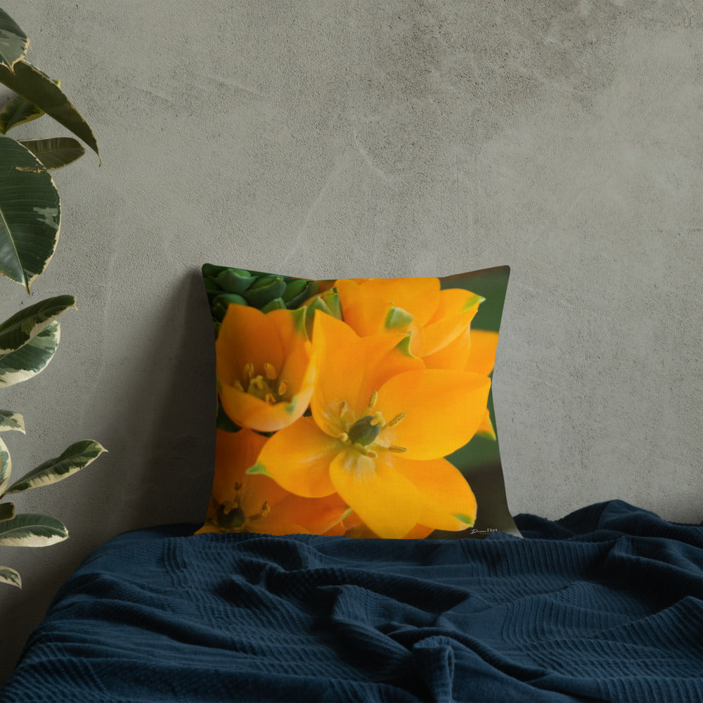 Orange Star Premium Pillow with White Back