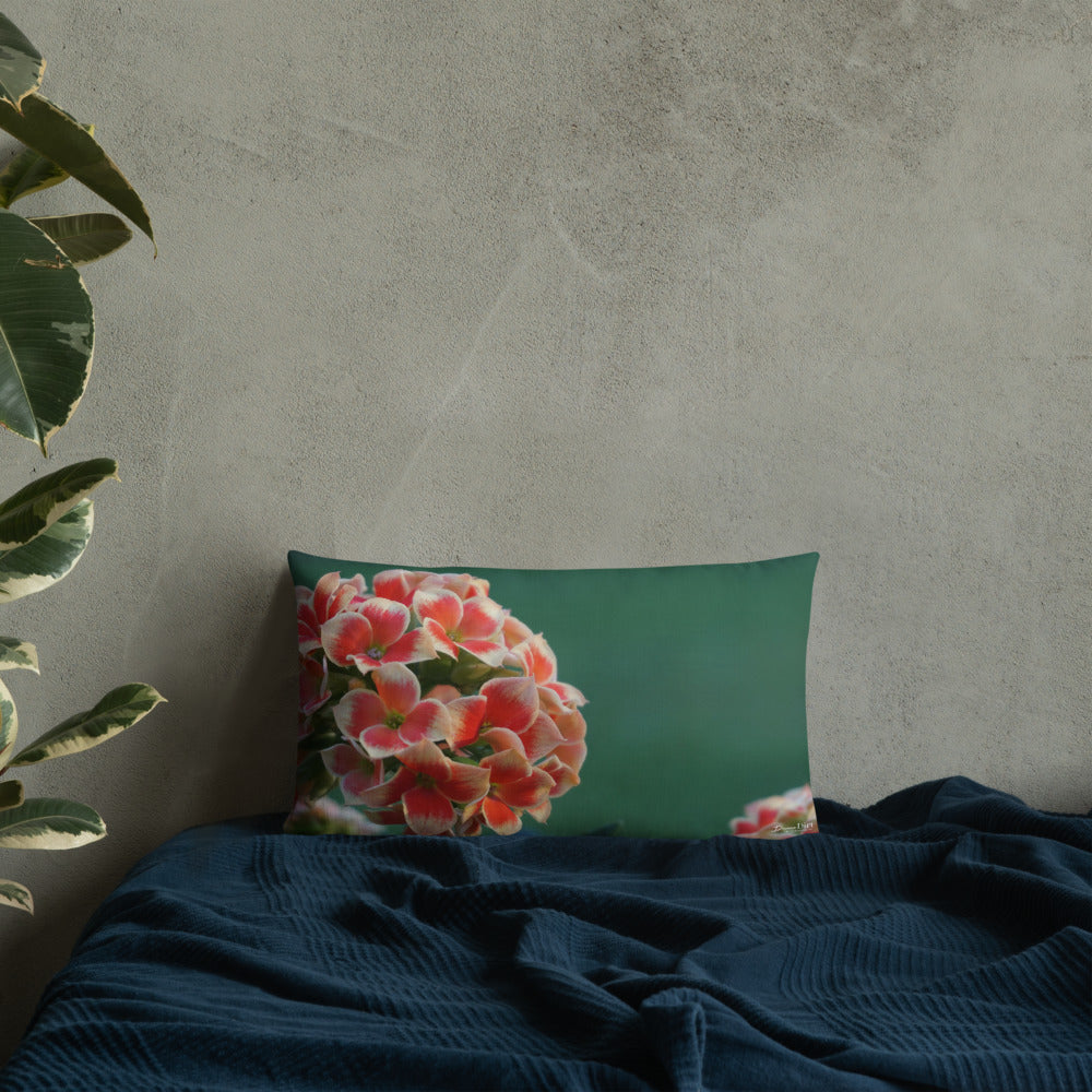 Orange Kalanchoe Premium Pillow 20x12