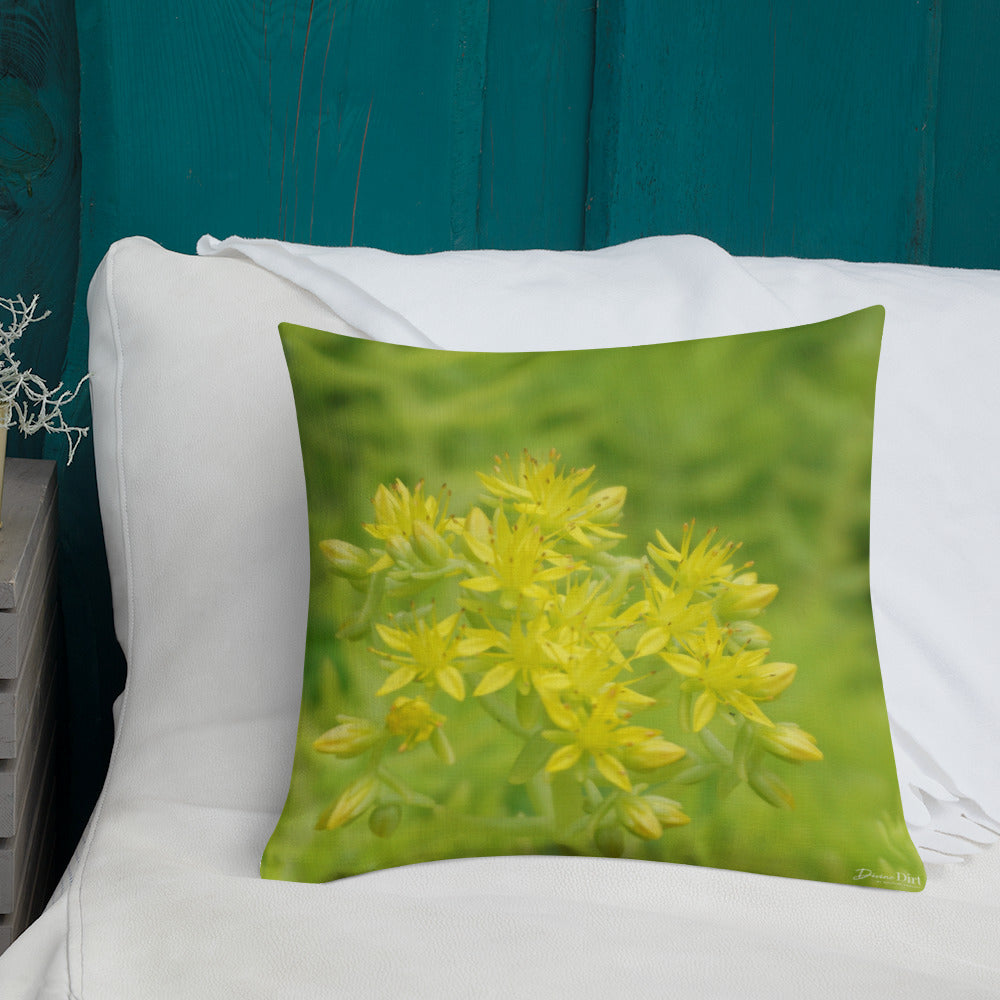 Lime Green Sedum with White Back Premium Pillow