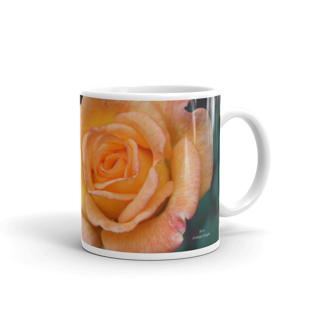 Orange Delight Rose without a message