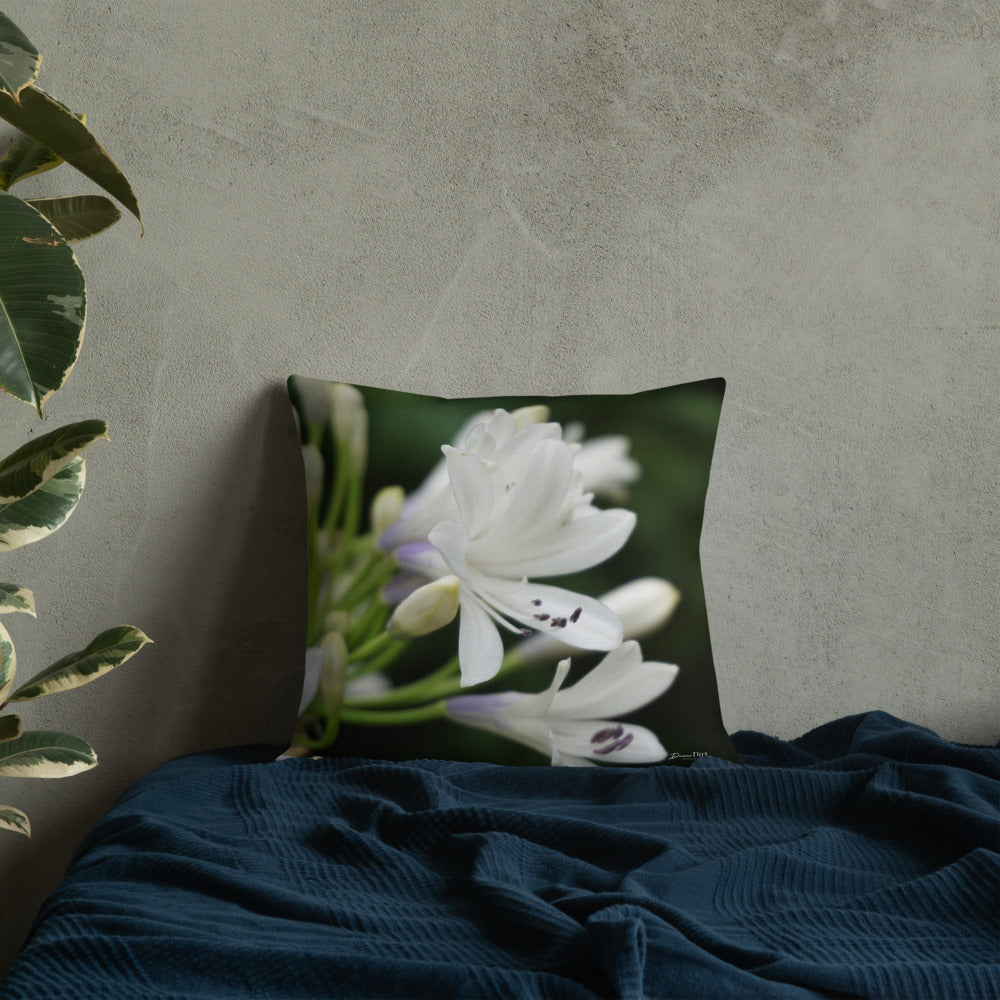 White Agapanthus 'Indigo Frost' Premium Pillow with White Back