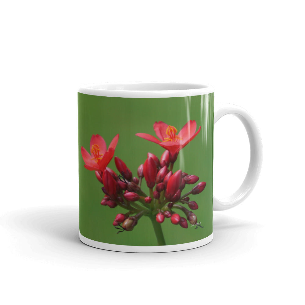 Red Jatropha "You are enough just the way you are"