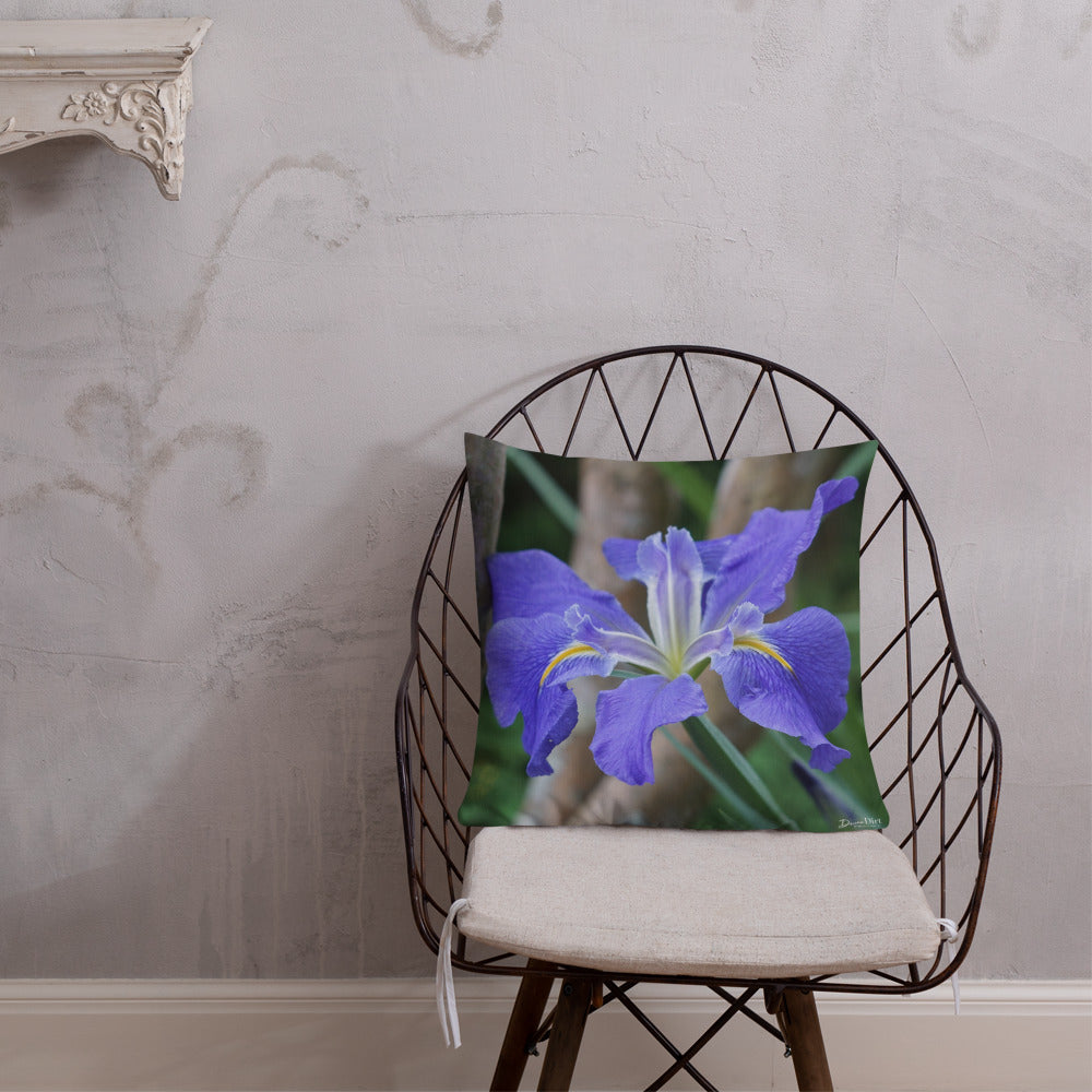 Purple Louisiana Iris Premium Pillow with White Back