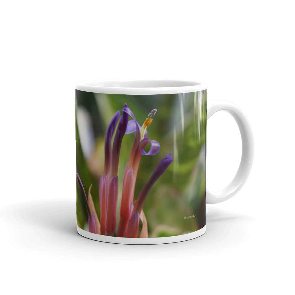 Bromeliad without a message