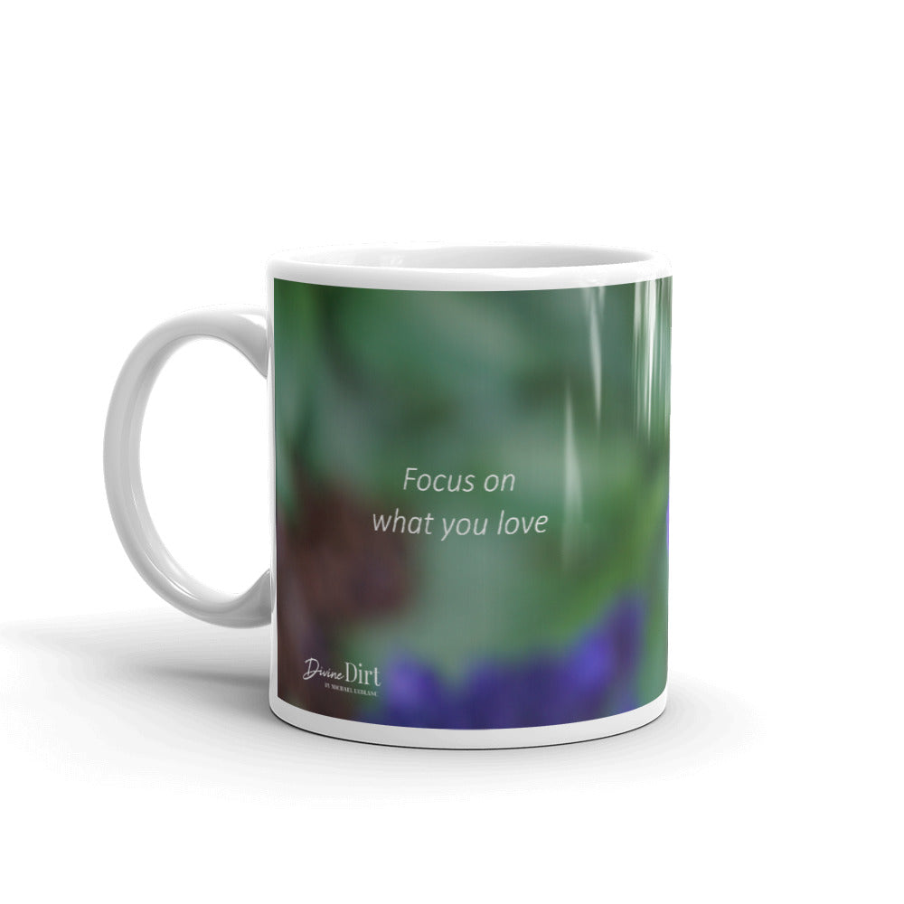 Purple Salvia-Indigo Spires "Focus on what you love"