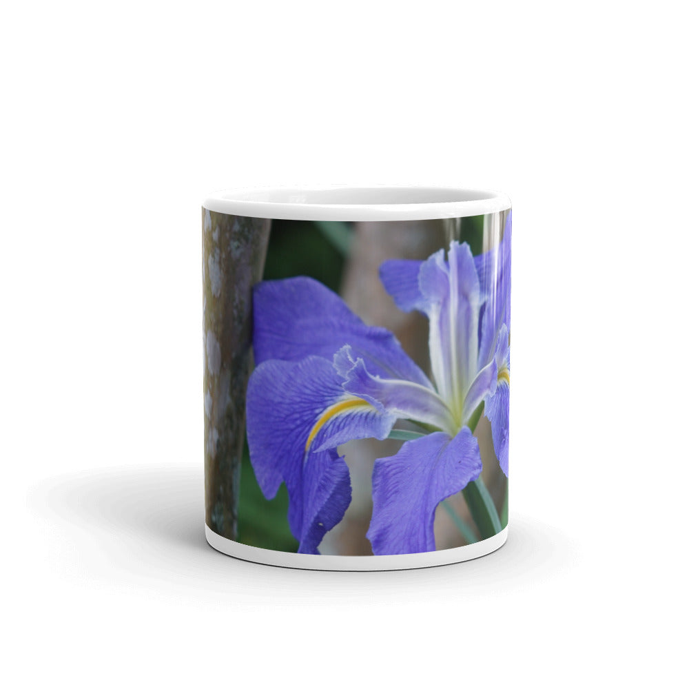 Purple Louisiana Iris without a message