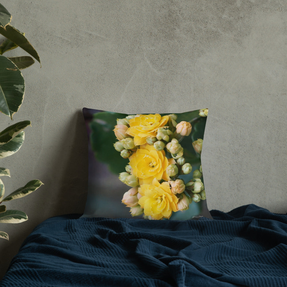 Yellow Kalanchoe Premium Pillow with Teal Back