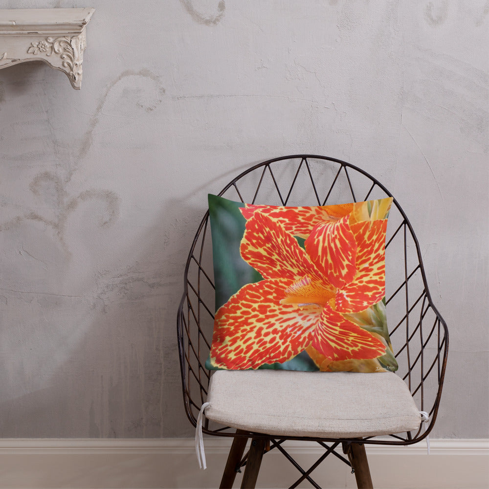 Orange Dwarf Canna 'Picasso' Premium Pillow with Orange Back