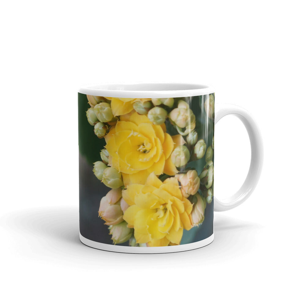 Yellow Kalanchoe "Trust that you are exactly where you need to be"
